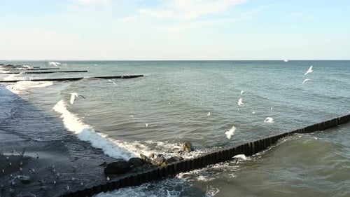 Waves of the Baltic Sea Wash the Breakwaters and Sandy Beach on a Sunny Blue and Cloudy Sky Day a