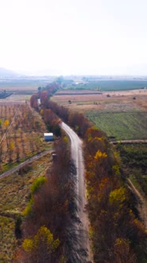 Long chemin de terre longeant champs et arbres en automne près d'une ville à la campagne.