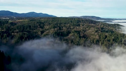 Aerial flyover beautiful natural forest landscape with low cloudscape and picturesque mountain hills