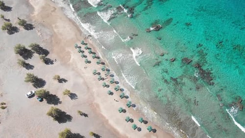 Scenic view of umbrellas at sea coast on sunny day