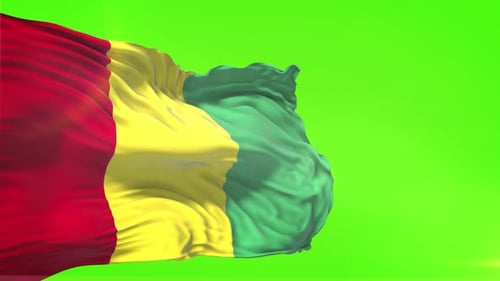 Realistic Guinea Flag Waving on Green Screen