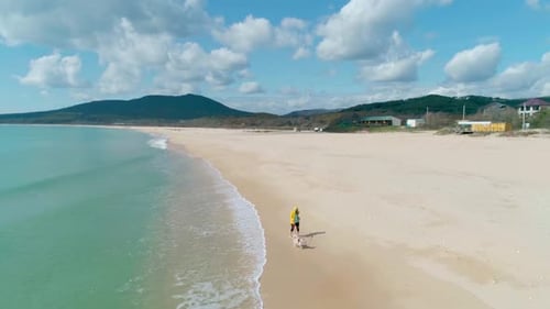 Aerial View of a Young Woman in Yellow Jacket Walking on Beach with Her Dog