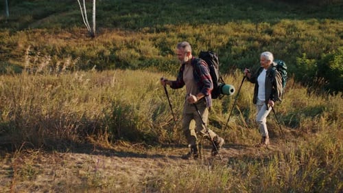 Senior Couple Hiking on Path in Sunny Meadow