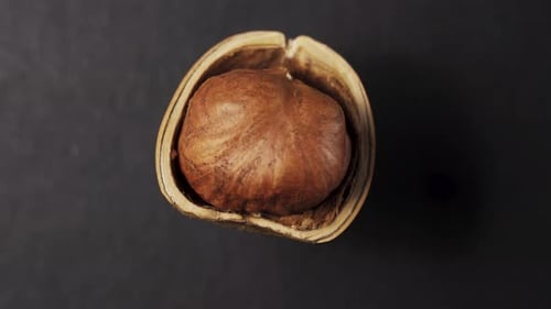 Split. Hazelnuts on a black background, rotates. Close-up. View from above.