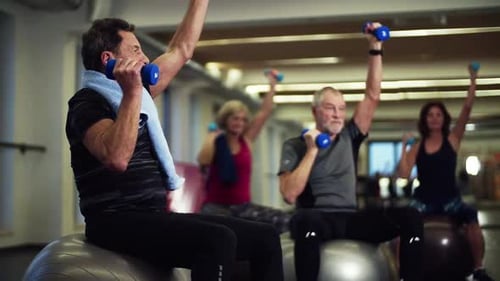 Group Of Cheerful Seniors In Gym Doing Exercise With Dumbbells On Fit Balls.