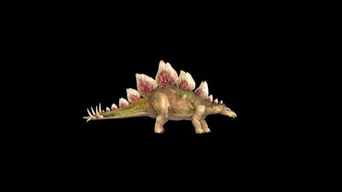 Animated 3D Stegosaurus Dinosaur on Black