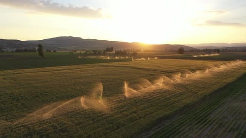 Aerial View Of Irrigation Of Farmland At Sunset 2