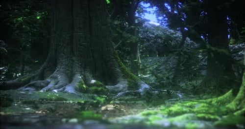 Lush Forest Floor with Majestic Tree Roots and Vibrant Greenery in Nature