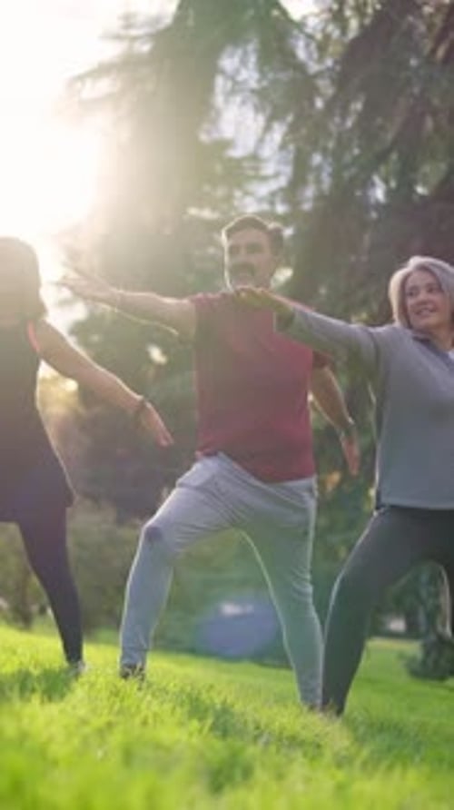 Senior Friends Practicing Yoga Together in the Park at Sunset