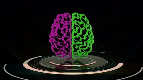 4K-Animation des menschlichen Gehirns