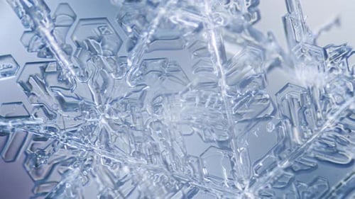 Sterndendrit des Schneeflocken-Eiskristalls unter dem Mikroskop