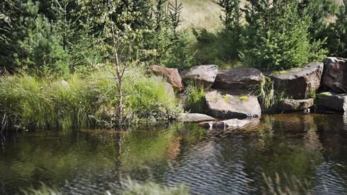 Ein flacher Fluss mit felsigen Ufern. Zeitlupe, nach rechts schwenken