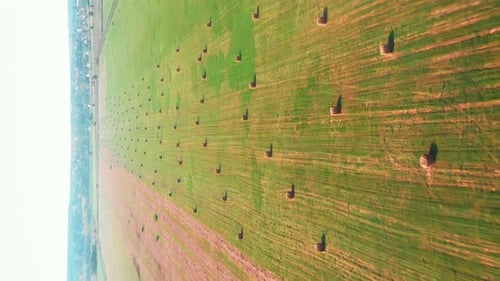 Hay Bales Scattered Across Large Agricultural Field
