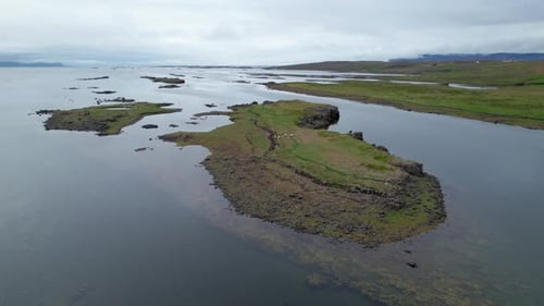 Sheep Stuck on Small Island Due to Rising Tides in West Fjords Iceland. Slow Aerial Flight Towards