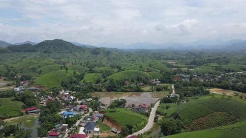 Tea plantation cultivated agriculture rural landscape Vietnam village countryside aerial drone