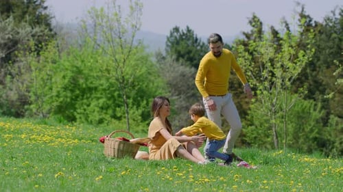 Loving Family Having a Picnic in the Park