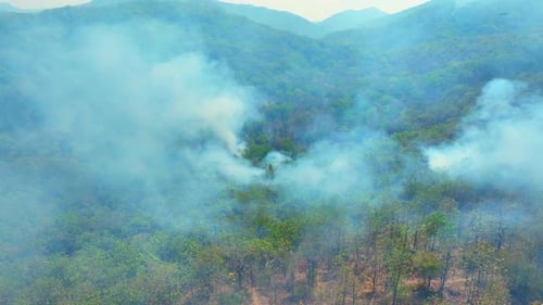 Aerial drone view of wildfire smoke rising through forest canopy.