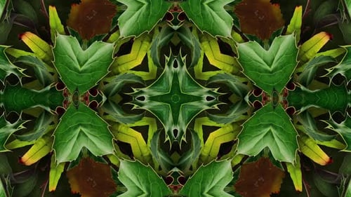 Abstract Nature Kaleidoscope with Seamless Looping Foliage and Berries