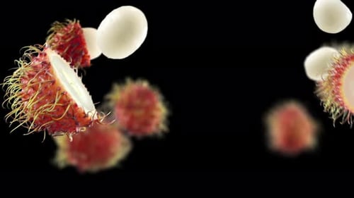 Exotic Rambutan Fruit Floating on Black Background