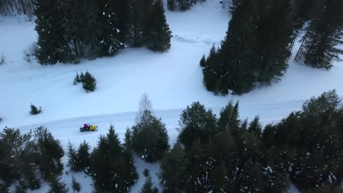 Snowmobile with headlight rides in evening in forest in winter