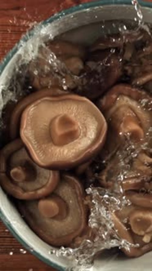 Des champignons au lait marinés tombent dans un bol avec de la saumure filmés par une caméra haute vitesse à 1000 images par seconde
