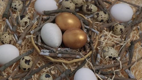 Greeting card with quail eggs and chicken eggs rotating in straw