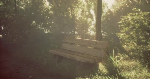 Sunlit Wooden Bench Surrounded By Greenery in a Tranquil Park Setting