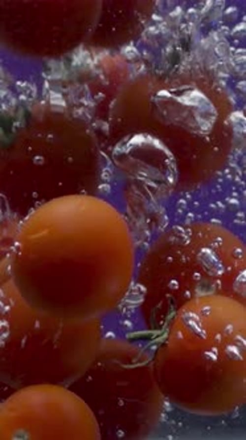 Tomatoes Fall Into Water Stock Footage Lot of Juicy Tomatoes Sink to Bottom of Aquarium Red Tomatoes