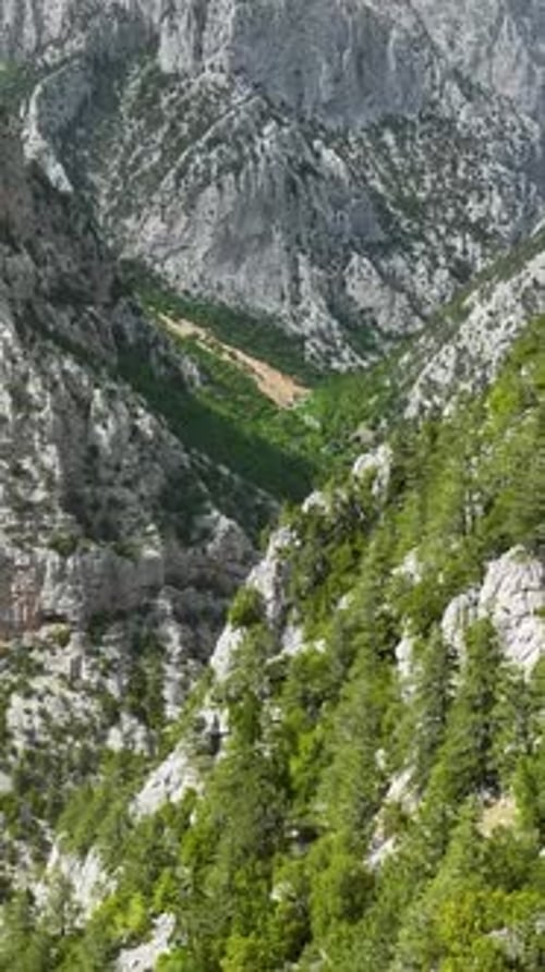 Vertical Video Green Majesty Majestic Mountains Dressed in Rich Foliage