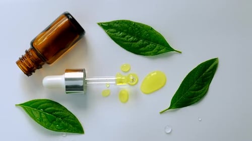 Oils and Drops From Plants and Herbs Selective Focus