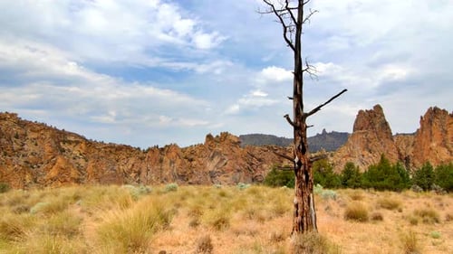 View of Oregon Mountainside and Landscape Under Blue Sky Above