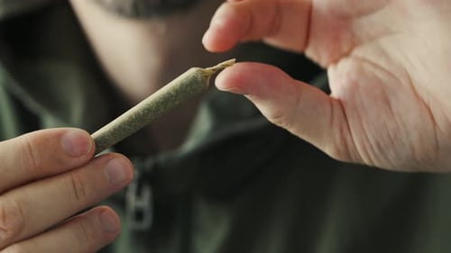 Close Up of Person Holding Rolled Item
