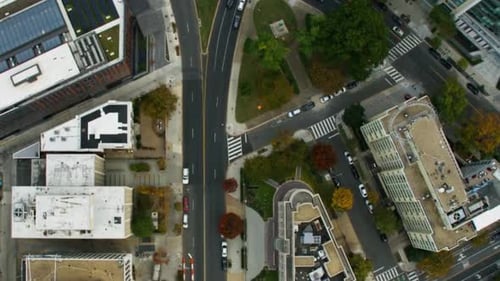 Cinematic And Beautiful View Of Washington DC Cityscape, USA