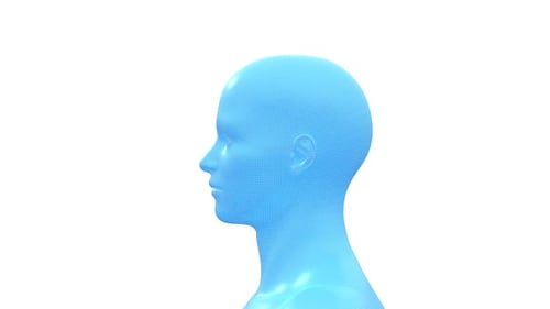Futuristic 3D Wireframe Human Head Rotation