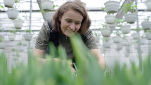 Woman Gardening in Greenhouse With Rows of Plants