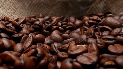 Close Up of Fresh Roasted Coffee Beans in a Burlap Bag