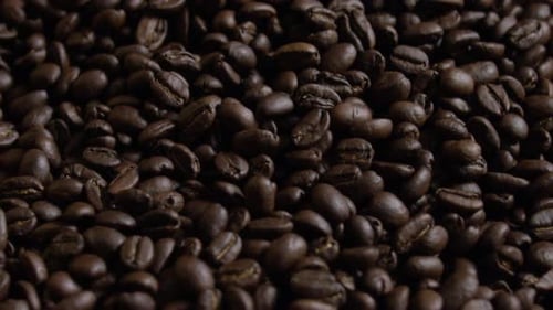 Close Up of Dark Roasted Coffee Beans