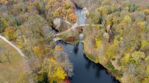 Autumn Park Trees Yellow Fallen Leaves Lakes Glades People Walking Paths