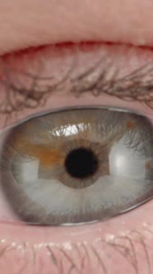 young woman 's eye, zoom. Dolly slider extreme close-up inside. Laowa Probe Vertical video.