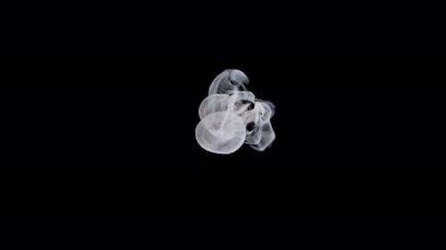 Abstract Wispy Smoke Effect Reveal