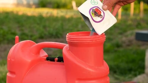 Pour Herbicide Into the Sprayer Selective Focus