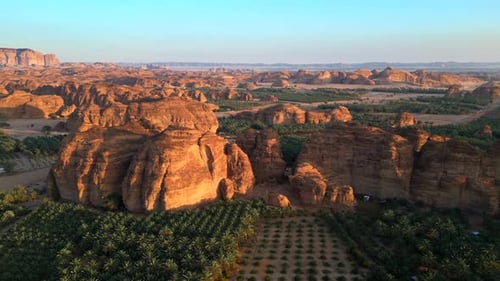 Aerial view trees and green bushes growing in arid desert landscape