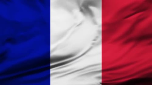 Vertical French Flag Waving Animated Loop