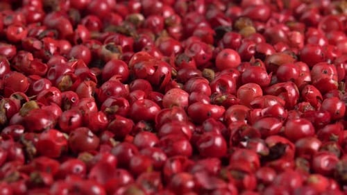 Pink peppercorns or himalayan red pepper berries rotating background close up side light. Spice