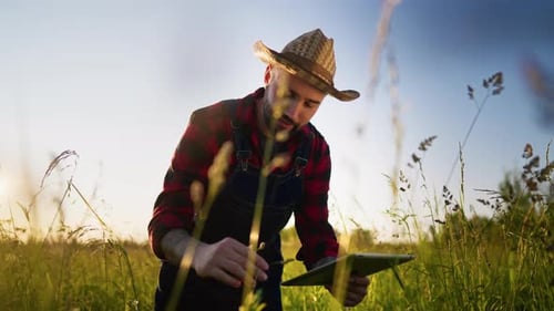 Bioengineering in Agriculture Young Adult Farm Worker Using Modern Tablet Professional Agronomist or