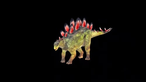 Wild Stegosaurus Look 3