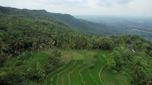 Landschaft von Gunungkidul Yogyakarta