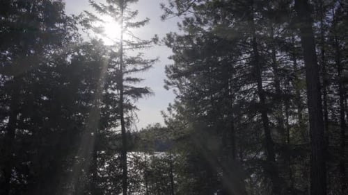 summer ontario outdoor canada lake