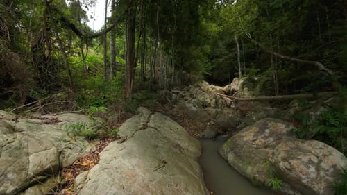 Drone Flying Along Mountain River Flowing Through Jungle Rocks with Trees Overhead, Low Altitude