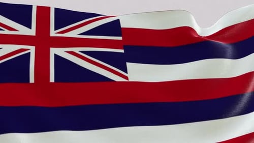 Realistic Waving Hawaii Flag Seamless Loop